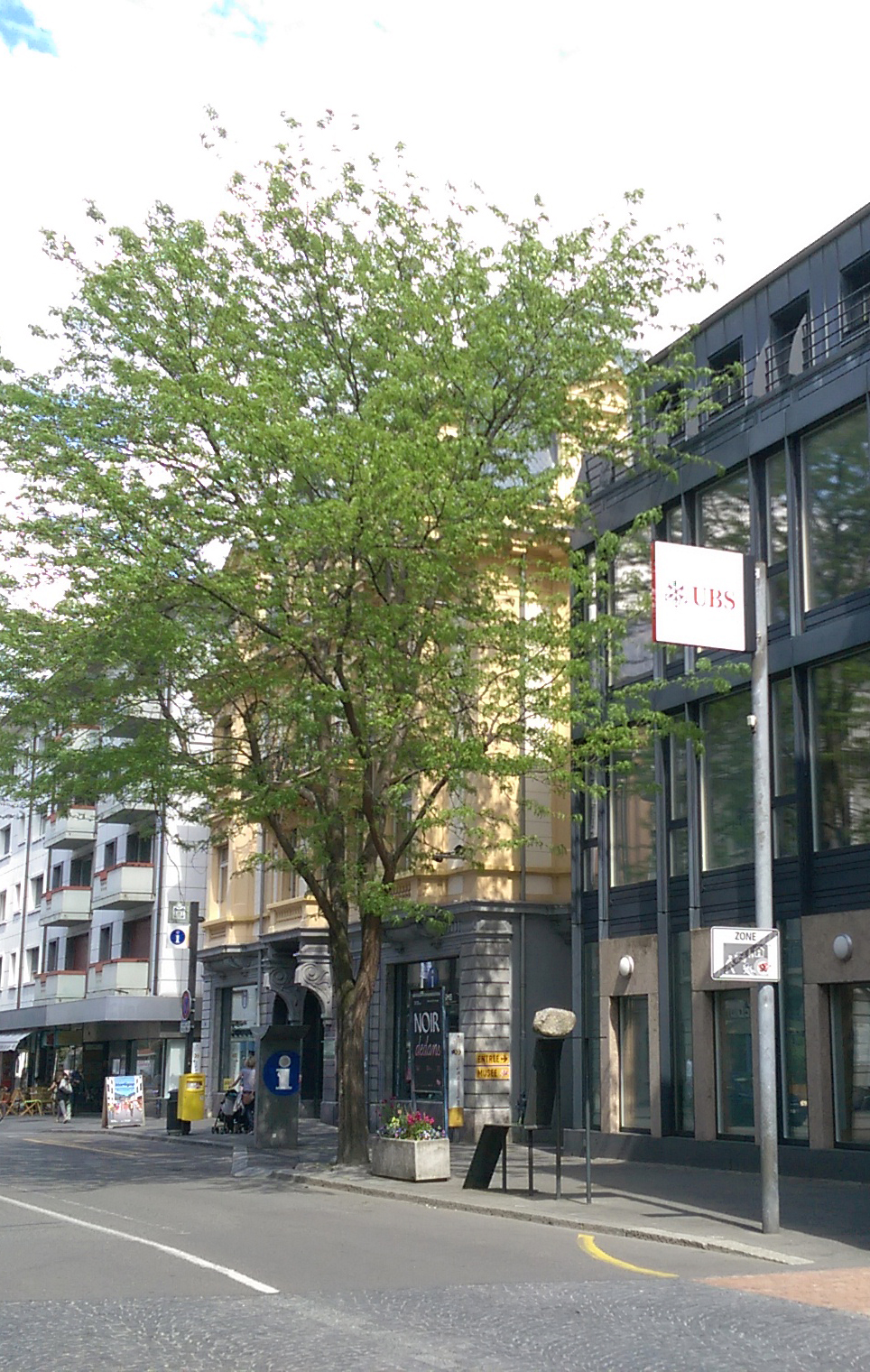 contact-sai-erp-logiciel-informatique-martigny-valais